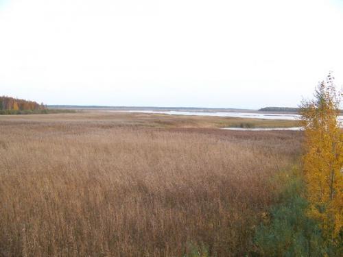 Weite Seenlandschaft (100_0951.JPG) wird geladen. Eindrucksvolle Fotos aus Lettland erwarten Sie.
